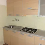 Quiet Flat With Garden Access Apartamento *